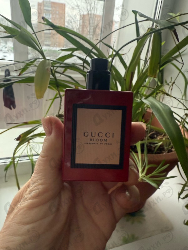 Купить Bloom Ambrosia Di Fiori от Gucci