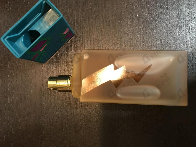 Купить Animale от Animale