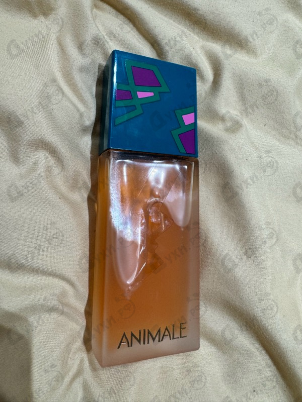 Купить Animale от Animale