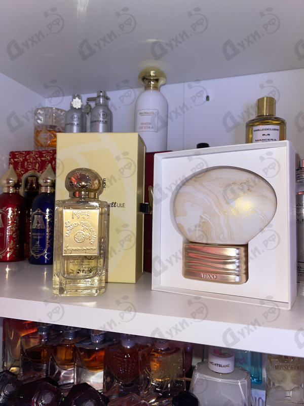 Отзывы The House of Oud What About Pop