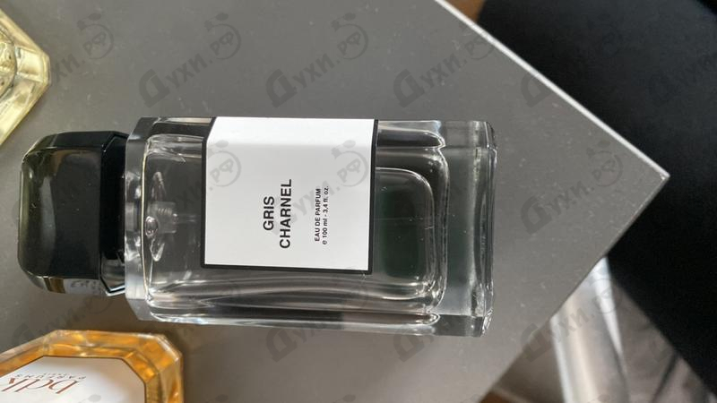 Купить Gris Charnel от Parfums BDK