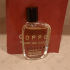 Отзыв Comme Des Garcons Copper