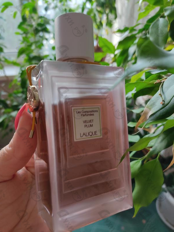 Парфюмерия Velvet Plum от Lalique Парфюмерия Lalique Velvet Plum