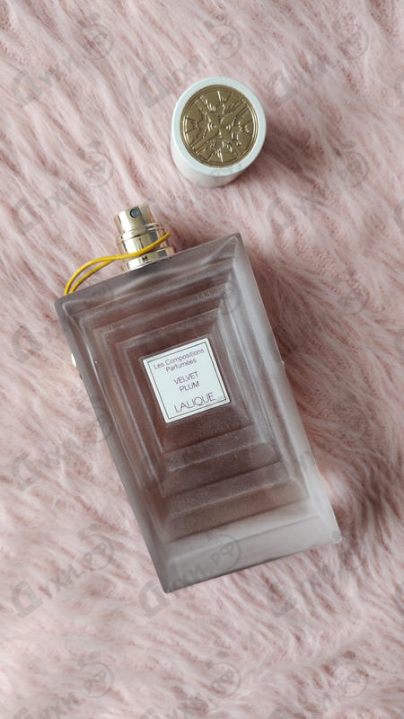 Парфюмерия Velvet Plum от Lalique