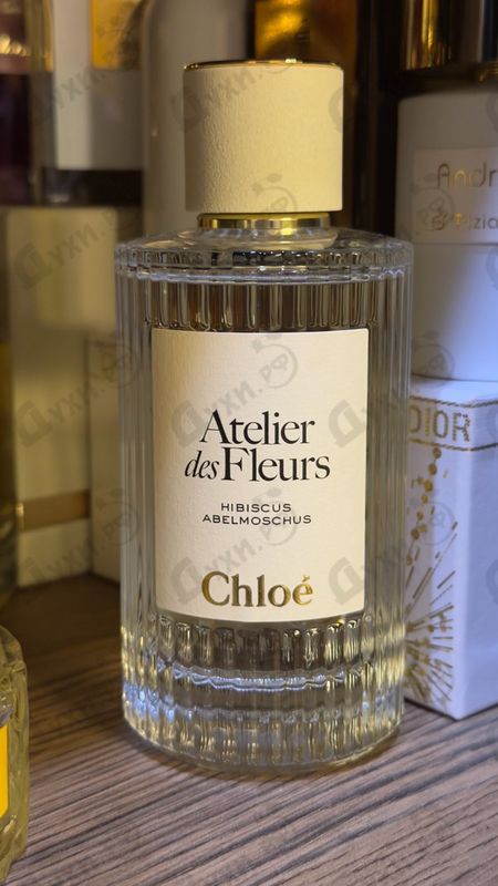 Духи Hibiscus Abelmoschus от Chloe