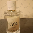 Отзыв Chloe Hibiscus Abelmoschus
