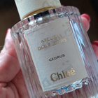 Отзыв Chloe Cedrus