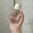 Отзыв Chloe Cedrus