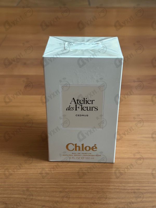 Купить Cedrus от Chloe