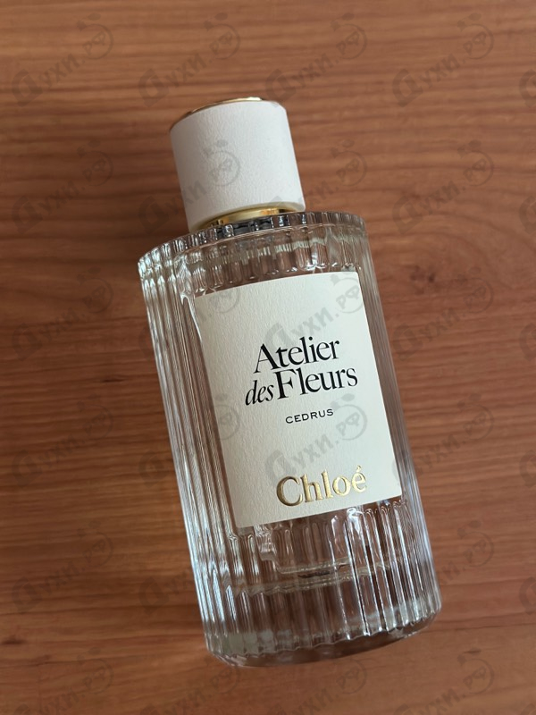 Купить Cedrus от Chloe