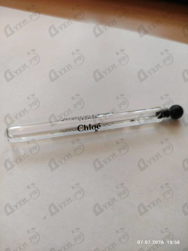 Купить Cedrus от Chloe
