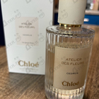 Отзыв Chloe Cedrus