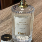 Отзывы Chloe Cedrus