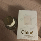 Отзыв Chloe Cedrus
