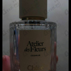 Отзывы Chloe Cedrus