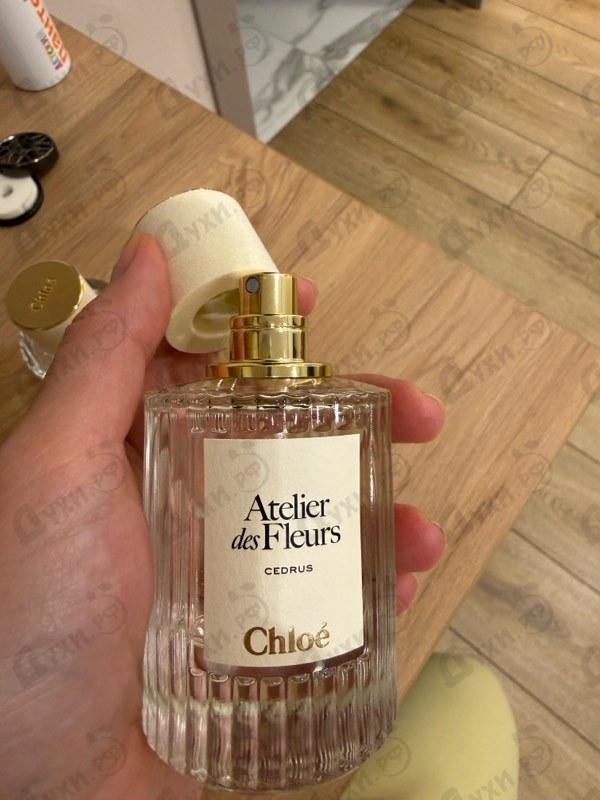 Купить Cedrus от Chloe