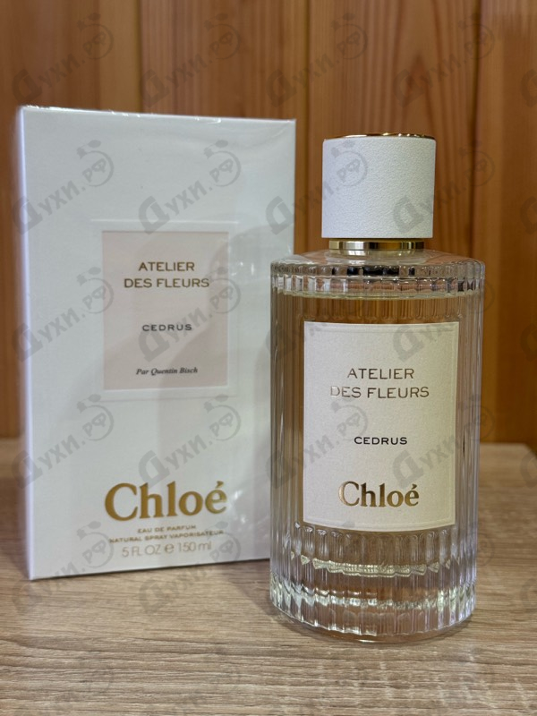 Парфюмерия Cedrus от Chloe