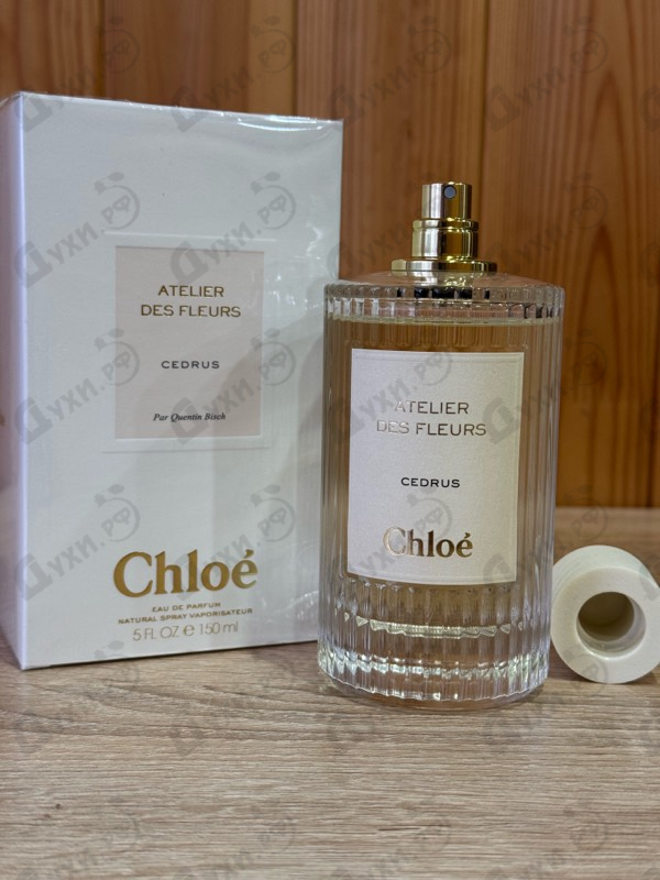 Купить Cedrus от Chloe
