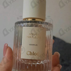 Духи Cedrus от Chloe