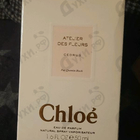 Отзыв Chloe Cedrus