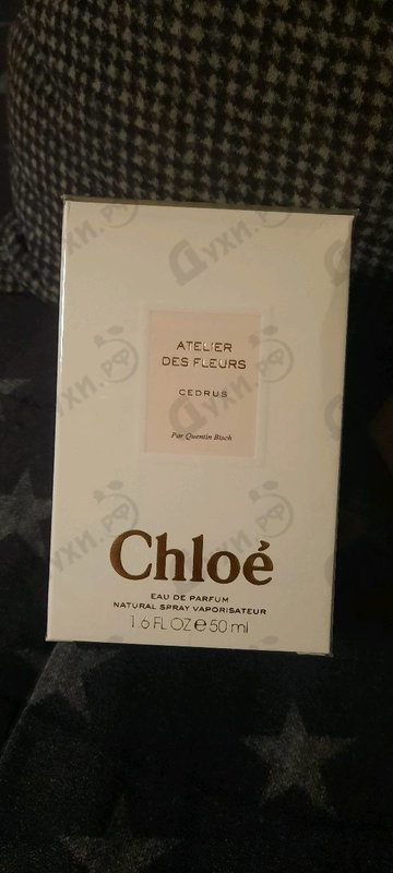 Купить Cedrus от Chloe