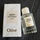 Отзывы Chloe Cedrus