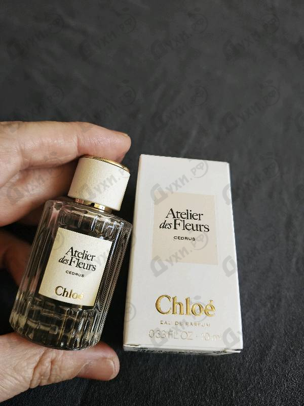 Духи Cedrus от Chloe