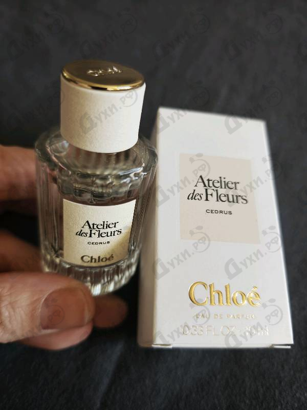 Духи Cedrus от Chloe