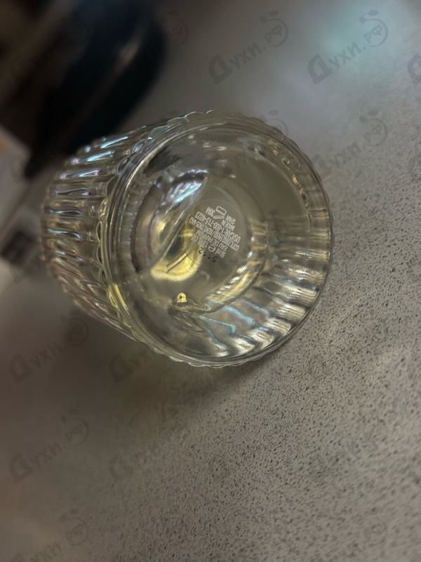 Купить Cedrus от Chloe