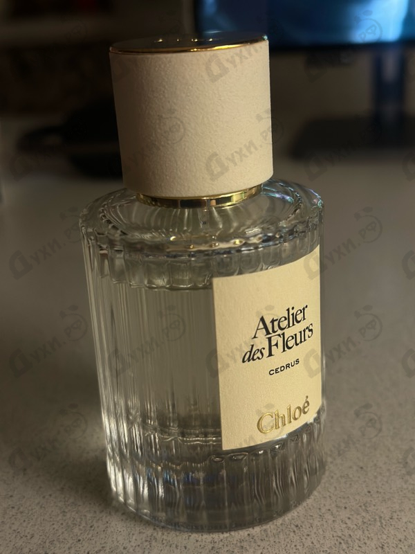 Купить Cedrus от Chloe