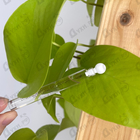 Духи Cedrus от Chloe