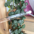 Духи Cedrus от Chloe Отзывы Chloe Cedrus