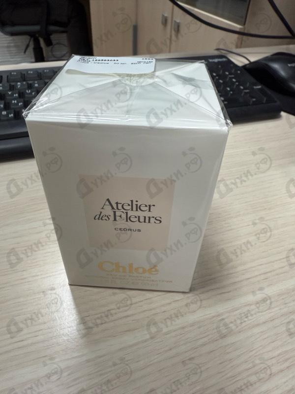 Парфюмерия Chloe Cedrus