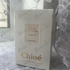 Отзывы Chloe Cedrus