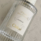 Духи Cedrus от Chloe