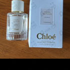 Отзыв Chloe Cedrus