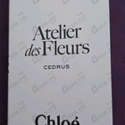 Отзыв Chloe Cedrus