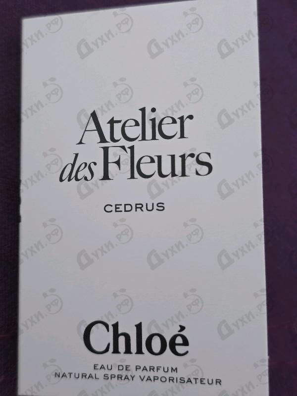 Парфюмерия Chloe Cedrus
