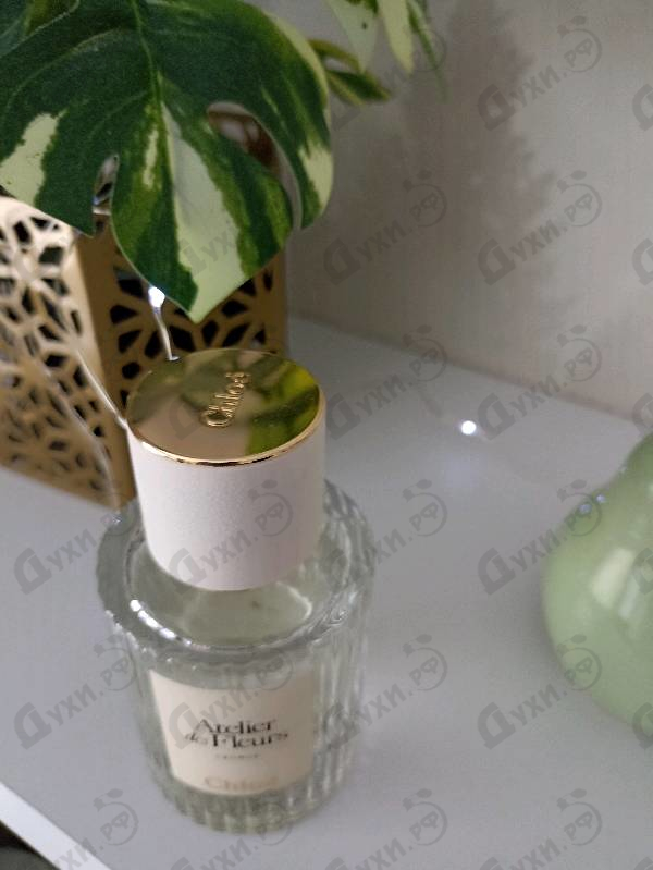 Духи Cedrus от Chloe