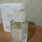 Отзыв Chloe Cedrus