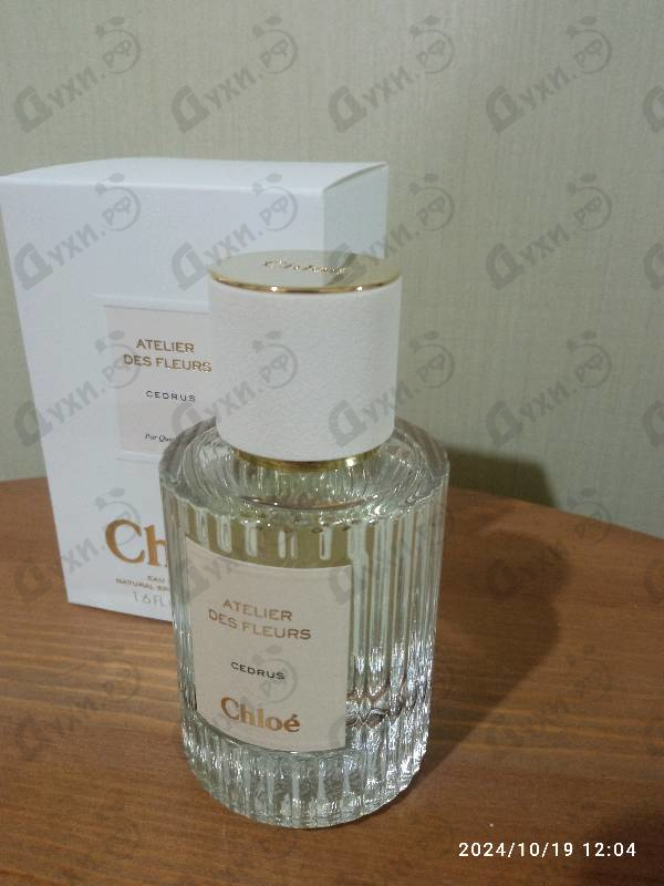 Купить Cedrus от Chloe