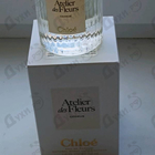 Отзыв Chloe Cedrus
