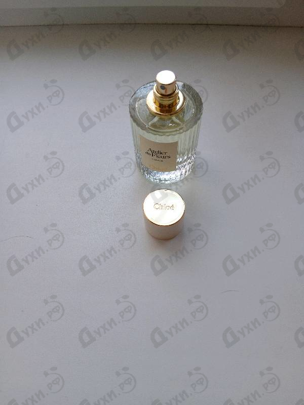 Парфюмерия Cedrus от Chloe