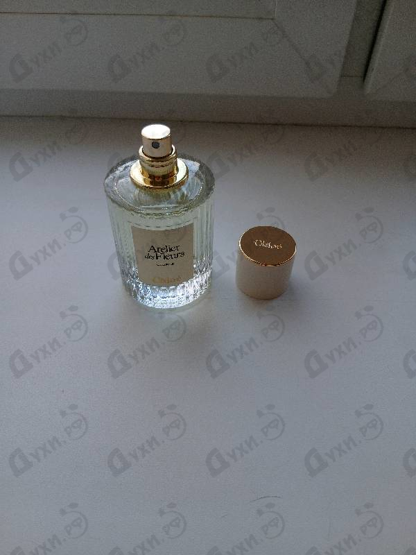 Парфюмерия Cedrus от Chloe