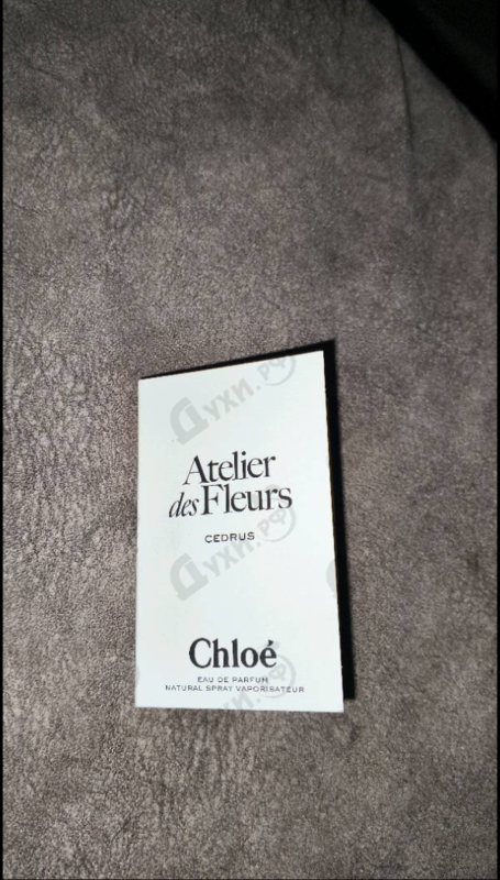 Купить Cedrus от Chloe