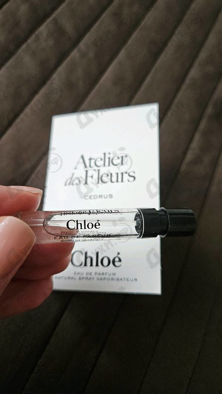 Купить Chloe Cedrus