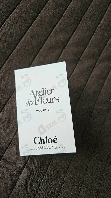 Духи Cedrus от Chloe