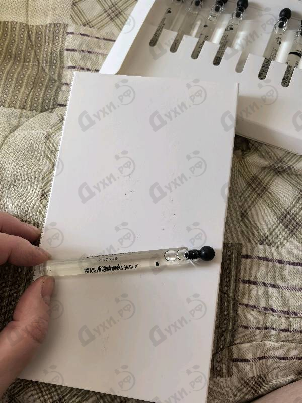 Парфюмерия Cedrus от Chloe