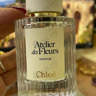 Отзыв Chloe Cedrus