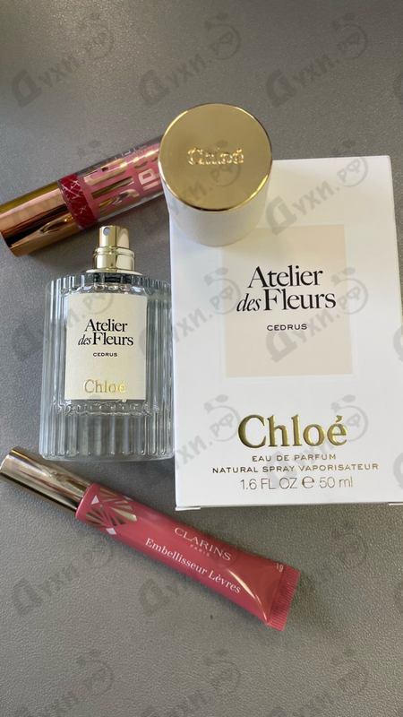 Отзывы Chloe Cedrus